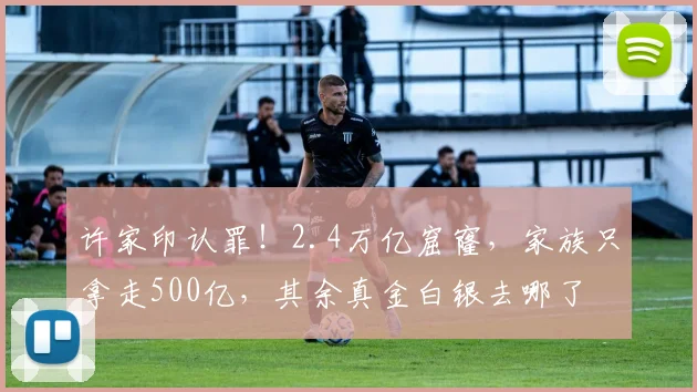 许家印认罪！2.4万亿窟窿，家族只拿走500亿，其余真金白银去哪了