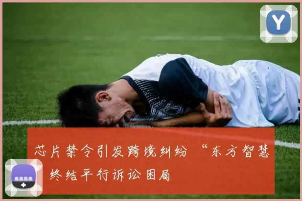 芯片禁令引发跨境纠纷 “东方智慧”终结平行诉讼困局