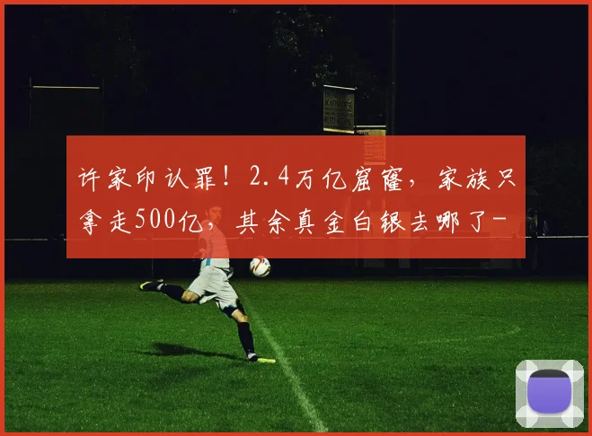 许家印认罪！2.4万亿窟窿，家族只拿走500亿，其余真金白银去哪了